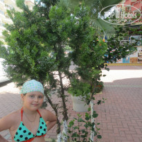 фото из отзыва ID 1134446