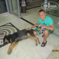 фото из отзыва ID 1134446