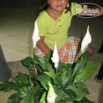 фото из отзыва ID 1134446