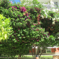 фото из отзыва ID 1134446