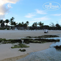 фото из отзыва ID 1134460