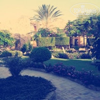 фото из отзыва ID 1134545