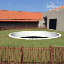 фото из отзыва ID 1134559