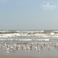 фото из отзыва ID 1133355