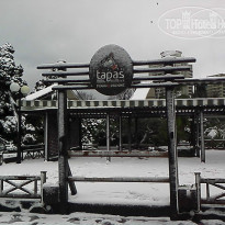 фото из отзыва ID 1134643