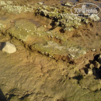 фото из отзыва ID 1134645