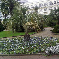 фото из отзыва ID 1134643