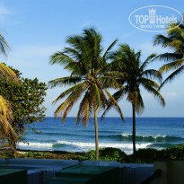 фото из отзыва ID 1134453