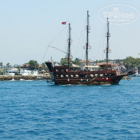 фото из отзыва ID 1134890