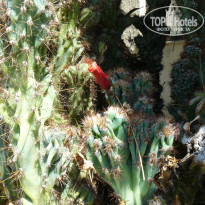 фото из отзыва ID 1134923