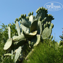 фото из отзыва ID 1134923