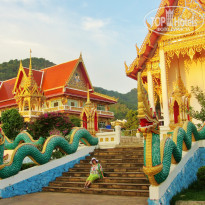 фото из отзыва ID 1135031