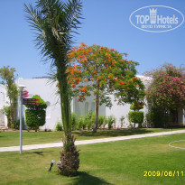 фото из отзыва ID 1135240