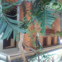 фото из отзыва ID 1135246