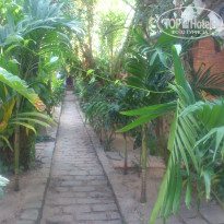 фото из отзыва ID 1135246