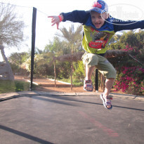 фото из отзыва ID 1135303