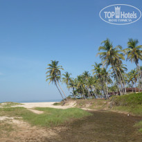 фото из отзыва ID 1135419