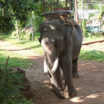 фото из отзыва ID 1135419