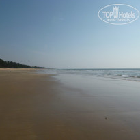 фото из отзыва ID 1135419