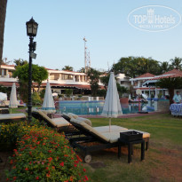 фото из отзыва ID 1135419