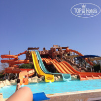 фото из отзыва ID 1135441