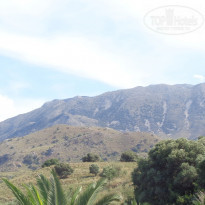 фото из отзыва ID 1135464