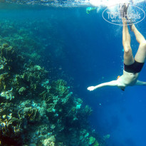 фото из отзыва ID 1135468