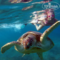 фото из отзыва ID 1135468