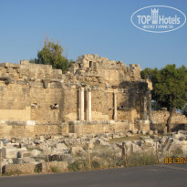 фото из отзыва ID 1135503