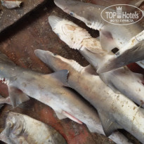 фото из отзыва ID 1135724