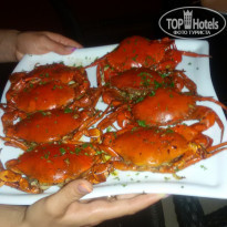 фото из отзыва ID 1135724