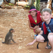 фото из отзыва ID 1135724