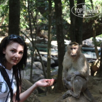 фото из отзыва ID 1135724