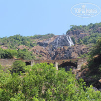 фото из отзыва ID 1135724