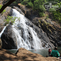 фото из отзыва ID 1135724