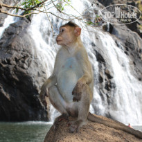 фото из отзыва ID 1135724