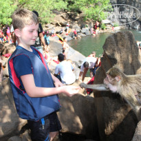 фото из отзыва ID 1135724