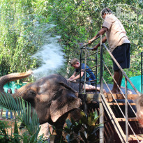 фото из отзыва ID 1135724