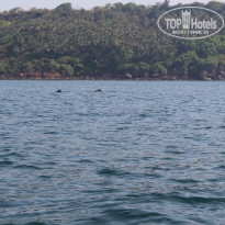 фото из отзыва ID 1135724