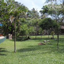 фото из отзыва ID 1135885