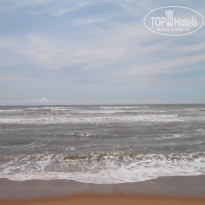 фото из отзыва ID 1135885