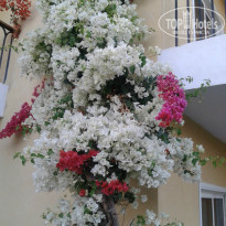 фото из отзыва ID 1134502