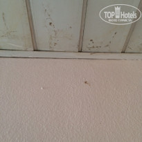 фото из отзыва ID 1136223