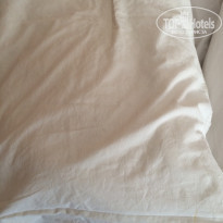 фото из отзыва ID 1136223