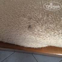 фото из отзыва ID 1136223