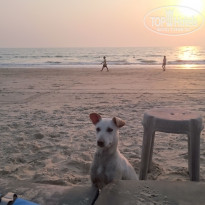 фото из отзыва ID 1136247