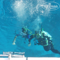 фото из отзыва ID 1136256