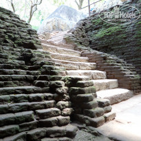 фото из отзыва ID 1136248