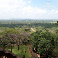 фото из отзыва ID 1136248