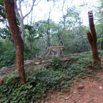 фото из отзыва ID 1136248